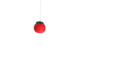 The Tomato Ornament